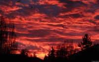 Collection\Msft\Landscapes: Red-Sky-at-Dawn