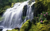 Collection\Msft\Landscapes: Waterfall-10