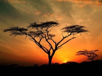 Collection\Nature Portraits: Africa-sunset
