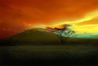 Landscape: Red-clouds-above-hill-in-savanne