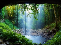 Rainforest: Lush-rainforest-towers-Crystal-Shower-Falls-2
